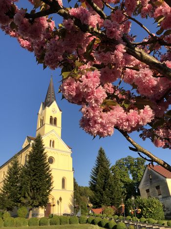 Utrinek iz Vojnika Utrinek iz Vojnika