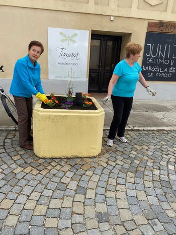 Člani TD Vojnik so aktivni Člani TD Vojnik so aktivni