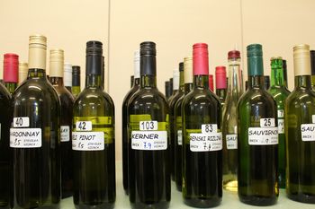 Vinogradniško-vinarsko društvo Vojnik: Ocenjevanje vin, salam in špehovk Vinogradniško-vinarsko društvo Vojnik: Ocenjevanje vin, salam in špehovk