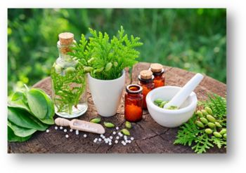 Homeopatska zdravila 