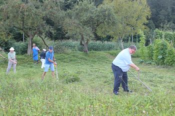 Veterani PGD Nova Cerkev so kosili otavo Veterani PGD Nova Cerkev so kosili otavo