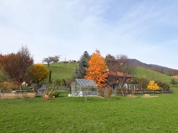 Sveža hrana in sadje domače pridelave