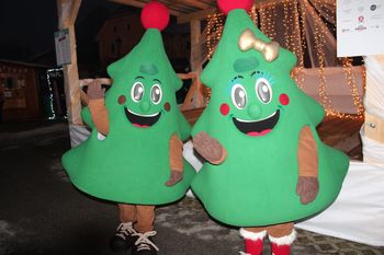 Božični Vojnik 2020