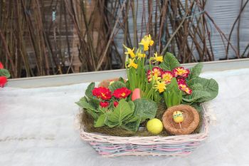 Izberimo cvetoče darilo