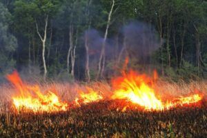 Previdno pri kurjenju v naravi
