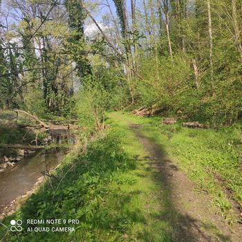 Dnevnik Viva-tlonca (13. del)