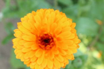 Potrebujete fotografijo za osebni dokument?