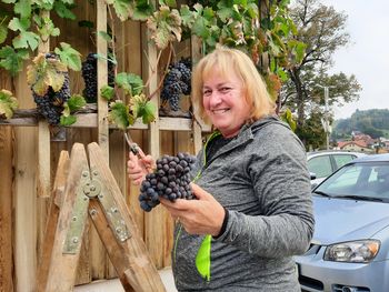 Trgatev potomke v Vojniku 