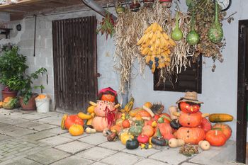 Foto utrinki: Jesen na kmečkem dvorišču
