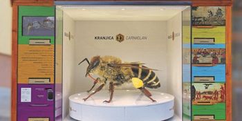 Nova visokotehnološka čebelarska atrakcija 3D-kranjica predstavljena javnosti