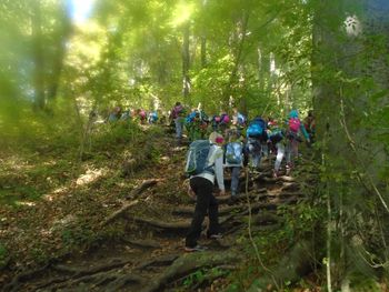 Mladi planinci iz Nove Cerkve na prvem planinskem pohodu