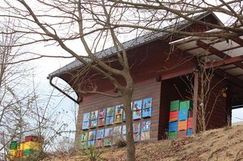 100 let Čebelarskega društva Vojnik