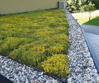 Zelene strehe in vertikalne površine Zelene strehe in vertikalne površine