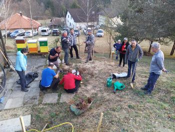 Dan sajenja medovitih rastlin v Vojniku