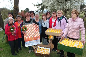 13. dan za spremembe v Vojniku: Za lesk v očeh starejših