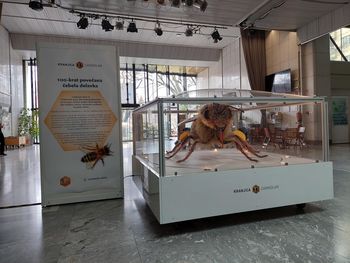 3D kranjica – čebela velikanka lahko prileti k vam