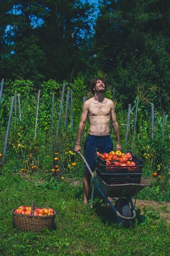 Sklop dogodkov na Prostoru ob gozdu