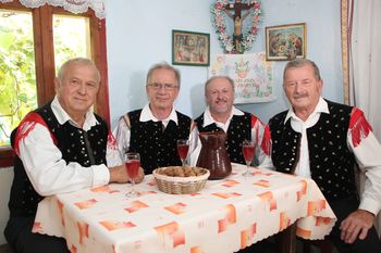 Vokalno instrumentalni ansambel TRS 