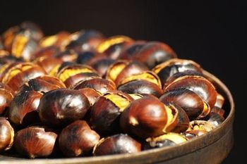 Povabilo MDDI na športno srečanje in piknik