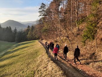 Torkove rajže živijo
