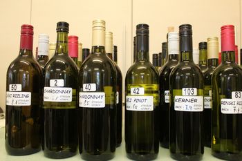 OBČNI ZBOR VINOGRADNIŠKO VINARSKEGA DRUŠTVA OBČINE VOJNIK