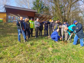 Čistilna akcija in sajenje medovitih rastlin