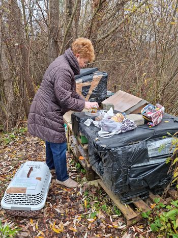 Delovanje Društva za lepše mačje življenje Vojnik je v polnem teku