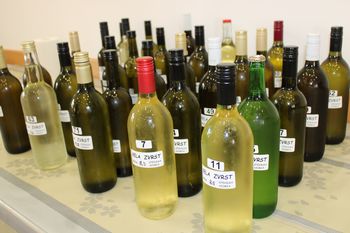 Zbiranje vzorcev vin za delovno pokušino 