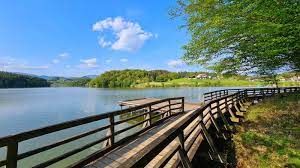 Za člane MDDI Celje