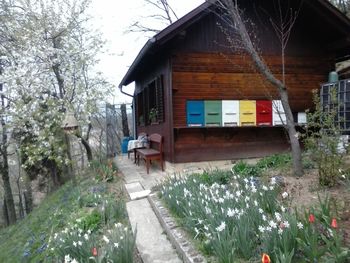 Prevzemniku zemljišča podari čebelnjak