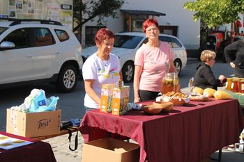 Foto utrinki: Dan čebel v Novi Cerkvi