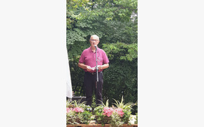 Prijetno praznovanje dneva državnosti in vse najboljše, naša Slovenija!