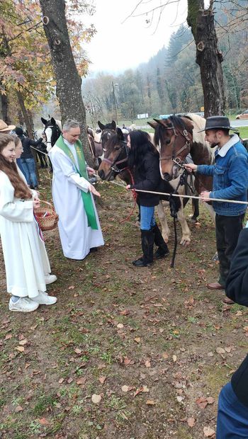 Martinov blagoslov konj letos privabil rekordno število konjenikov