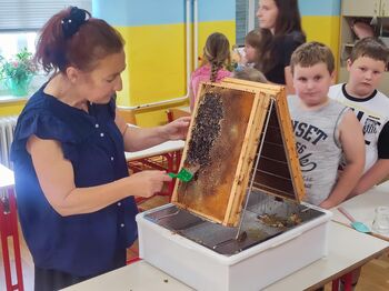 Točenje medu na POŠ Nova Cerkev, 19.6.2025