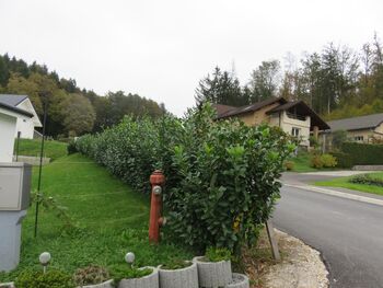 Od dolgoročne strategije do začasnih ukrepov za varnejši vsakdan