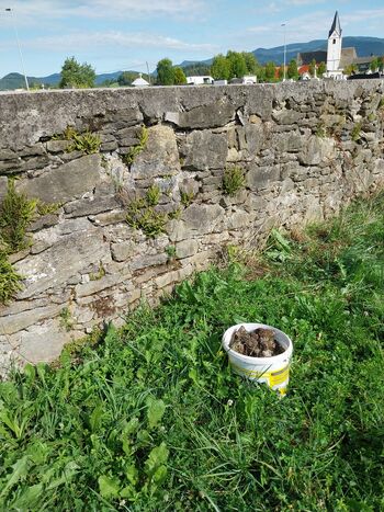 Skrb za urejenost javnih površin 