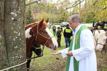 ŽEGNANJE KONJ FRANKOLOVO