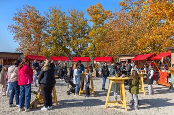 Festival Rad te imam, Vojnik