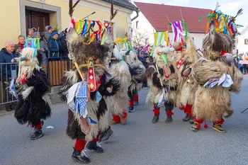 Foto utrinki: 38. pustni karneval v Novi Cerkvi