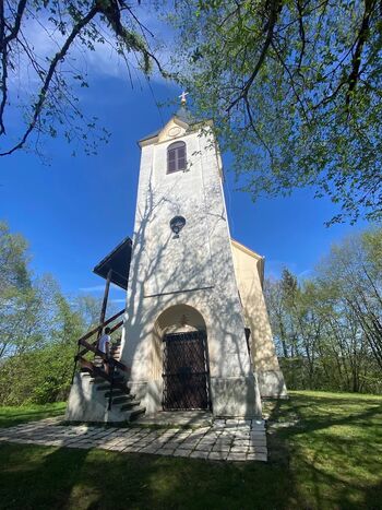 MAŠA ZA DOMOVINO NA DAN DRŽAVNOSTI