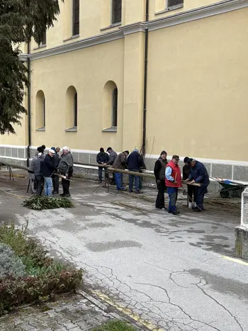Butare velikanke v Vojniku