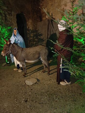 Medijska predstavitev Božičnega Vojnika