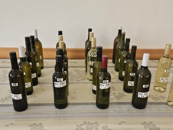 ZBIRANJE VZORCEV ZA OCENJEVANJE VIN, SALAM in ŠPEHOVK