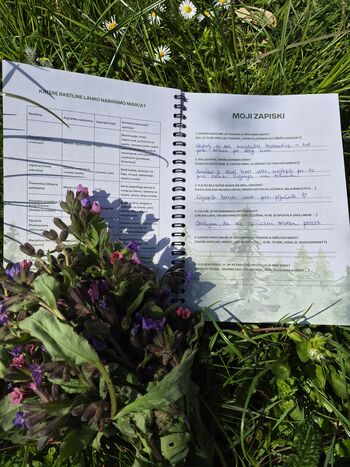 Lunin vrt: prostor, kjer zgodbe zaživijo