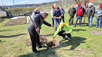 Posaditev županove lipe Posaditev županove lipe