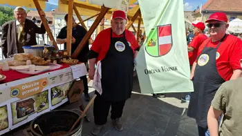 Najboljši medeni golaž vojniških čebelarjev