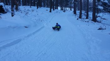 Naravna sankaška proga "Zelenica" na Ljubelju