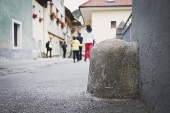 Tržič - Mesto na dan