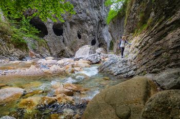 Tržič - Mesto na dan