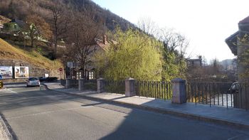 Tržič - Mesto na dan